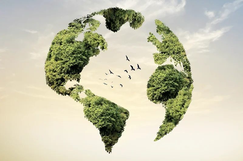 Accelerating Your Green Growth